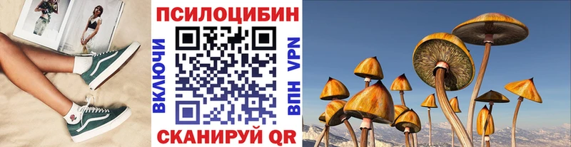 Псилоцибиновые грибы Cubensis  Ессентуки 